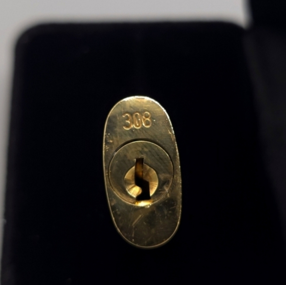 Louis Vuitton Luxurious Gold Lock and Key - Picture 3 of 5